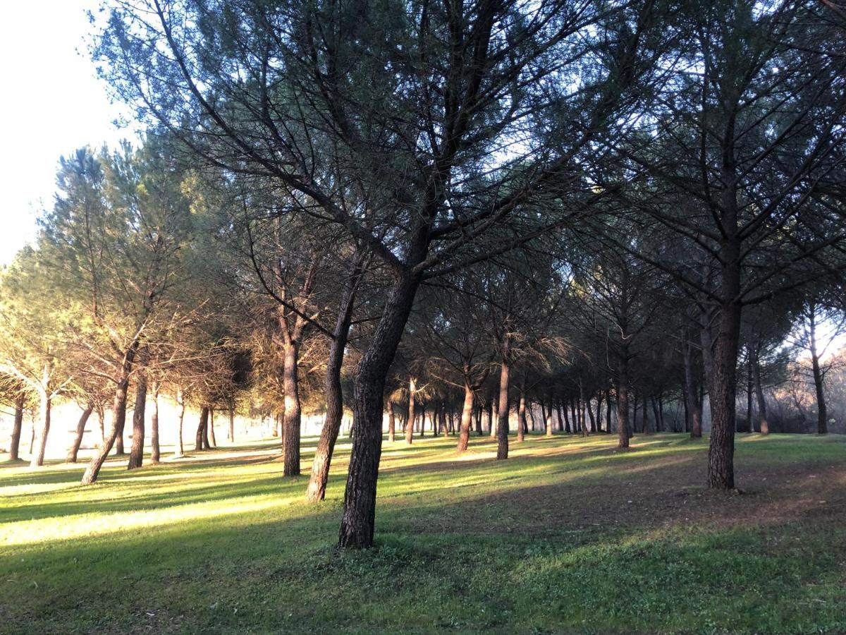 El Granado Villa Piedrabuena Bagian luar foto