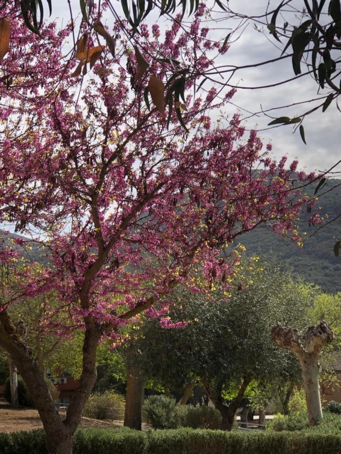 El Granado Villa Piedrabuena Bagian luar foto
