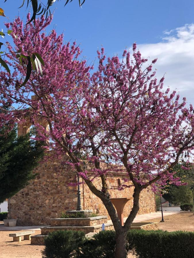 El Granado Villa Piedrabuena Bagian luar foto